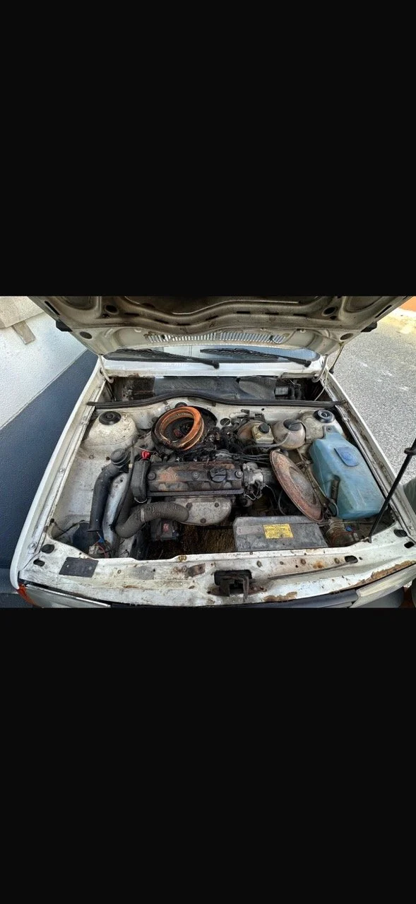 IMG_5273 – grande.jpeg