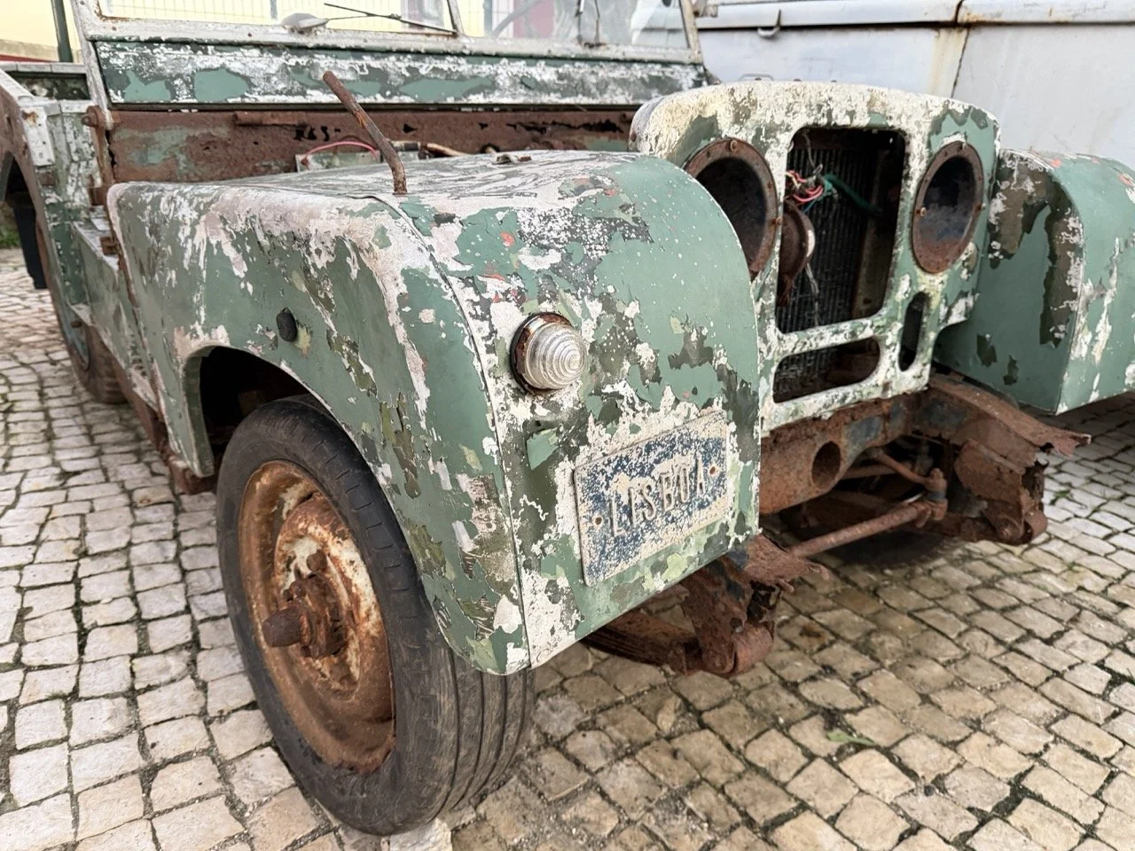 IMG_7437 – grande.jpeg