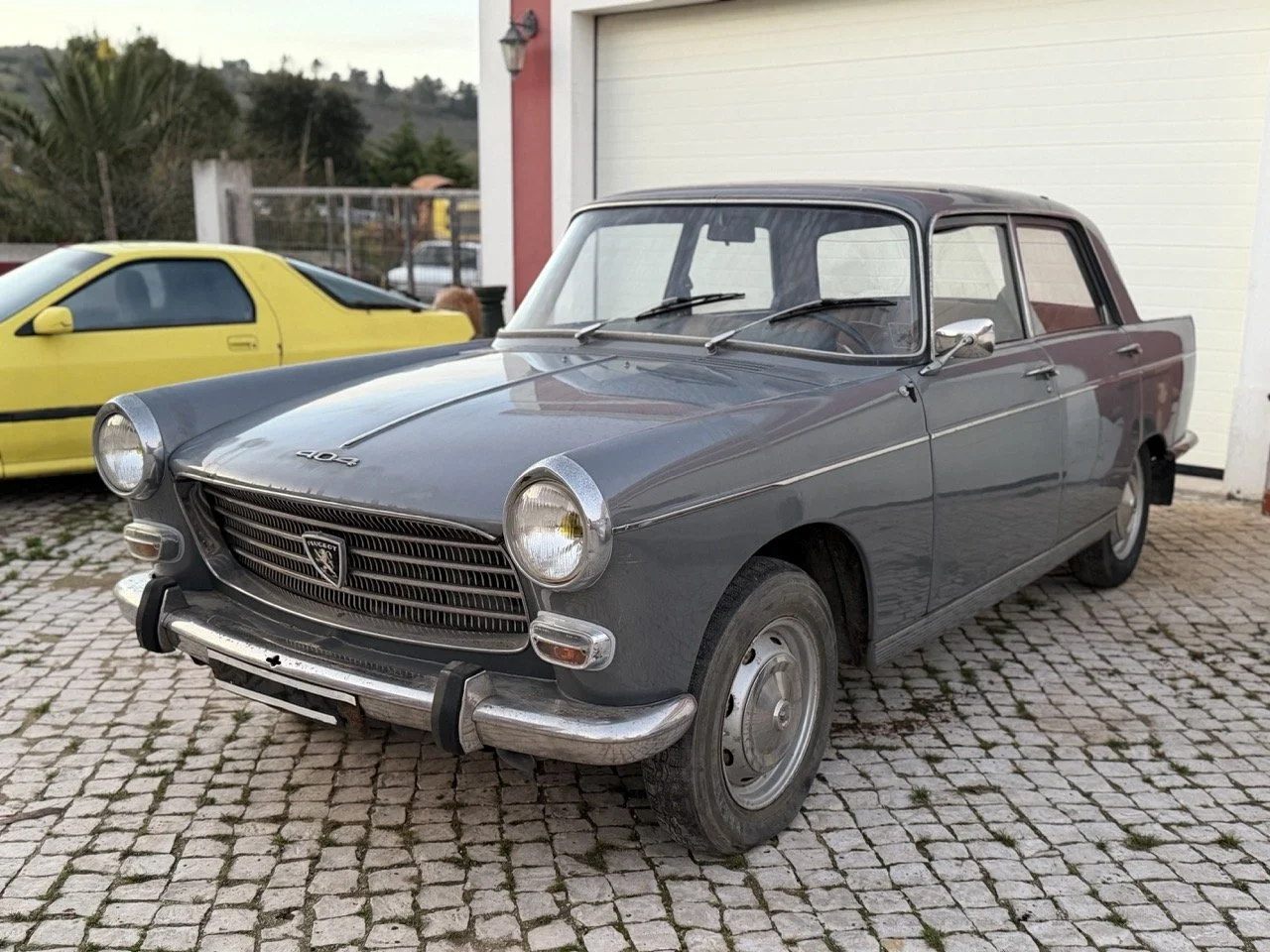 IMG_7490 – grande.jpeg