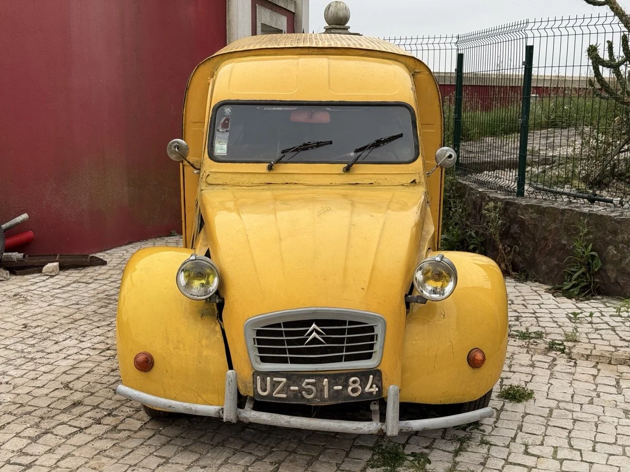 IMG_3835 – grande.jpeg