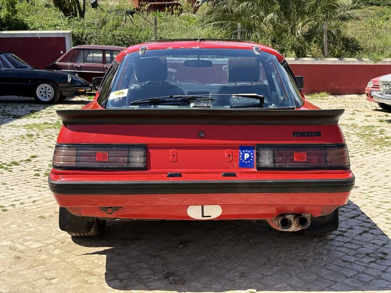 IMG_2019 – grande.jpeg