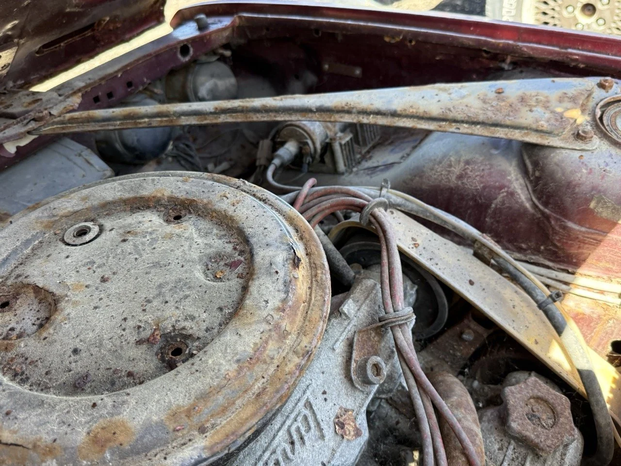 IMG_0927 – grande.jpeg