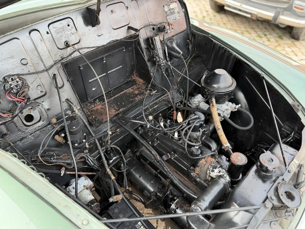 IMG_9835 – grande.jpeg