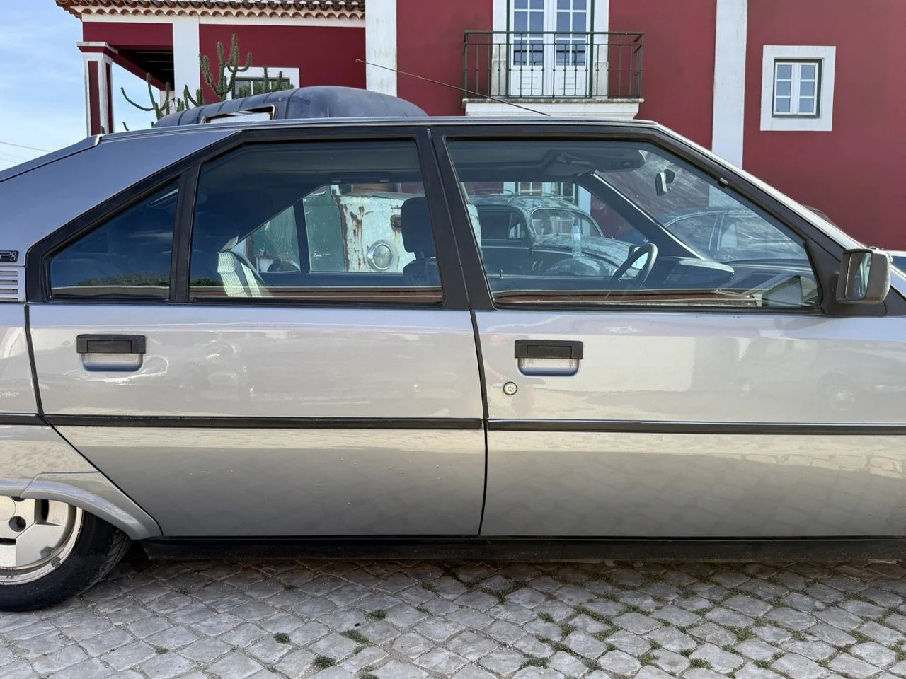 IMG_2652 – grande.jpeg