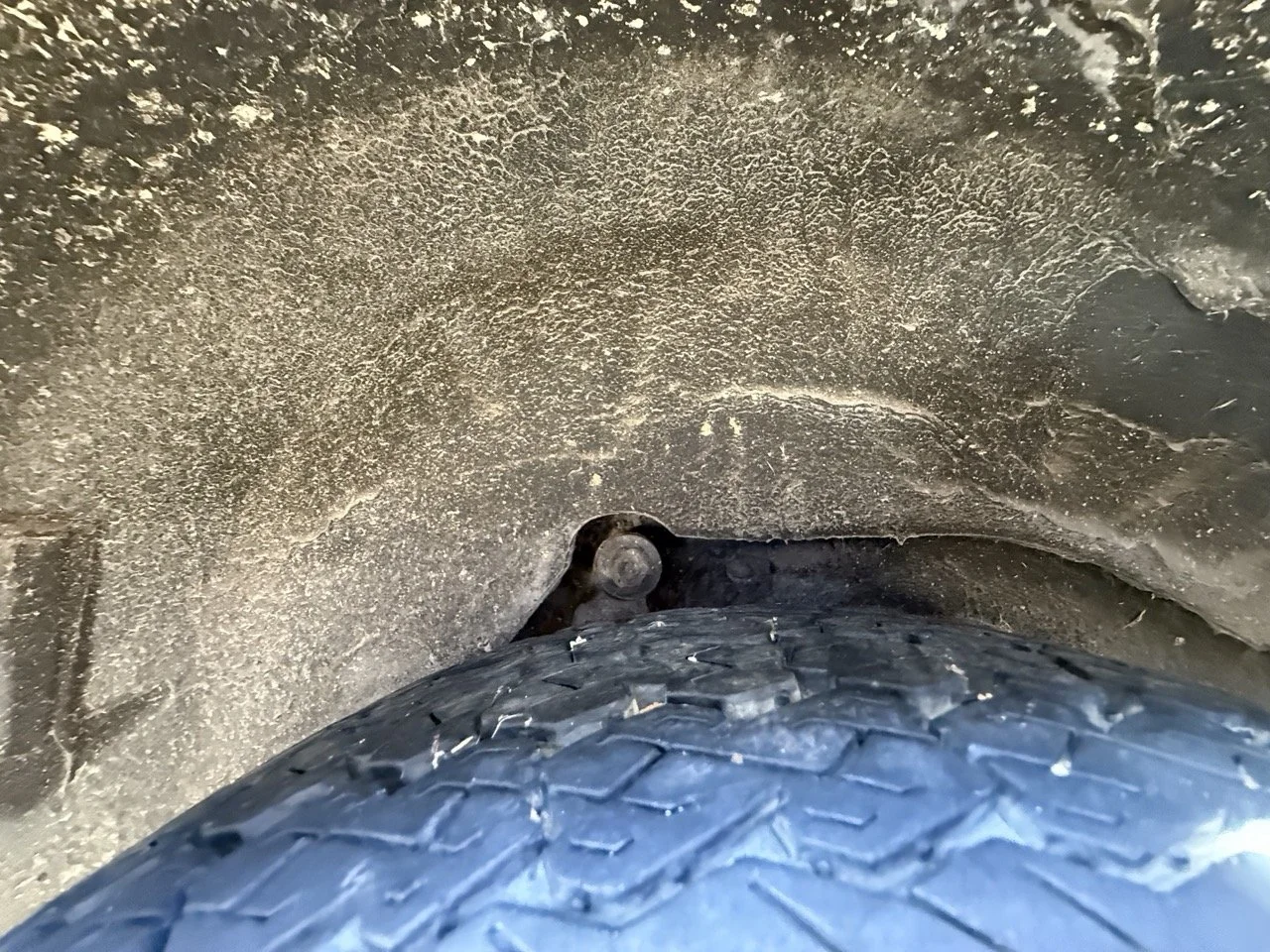 IMG_1245 – grande.jpeg