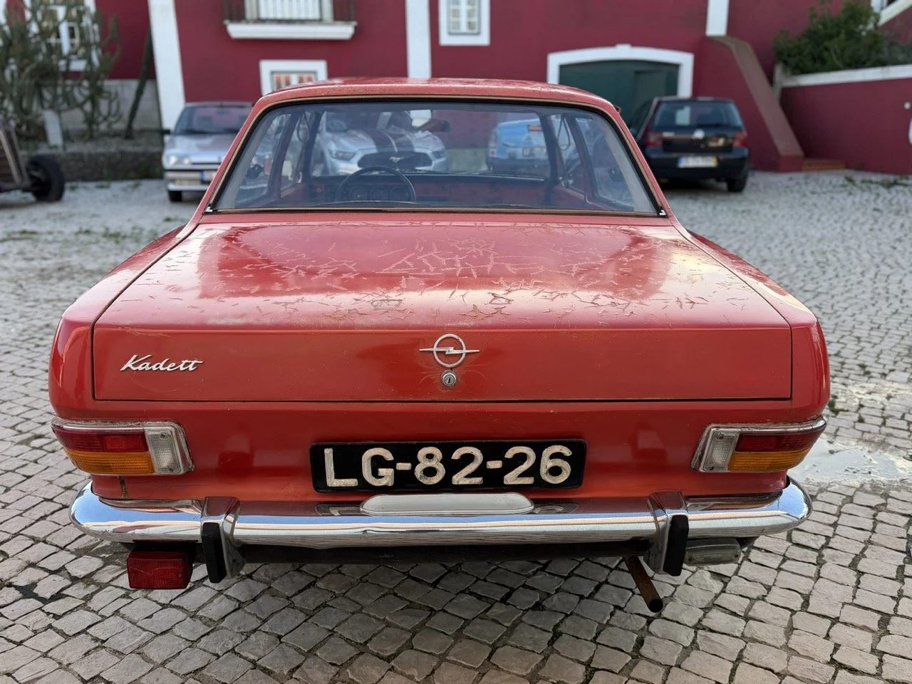 IMG_7688 – grande.jpeg