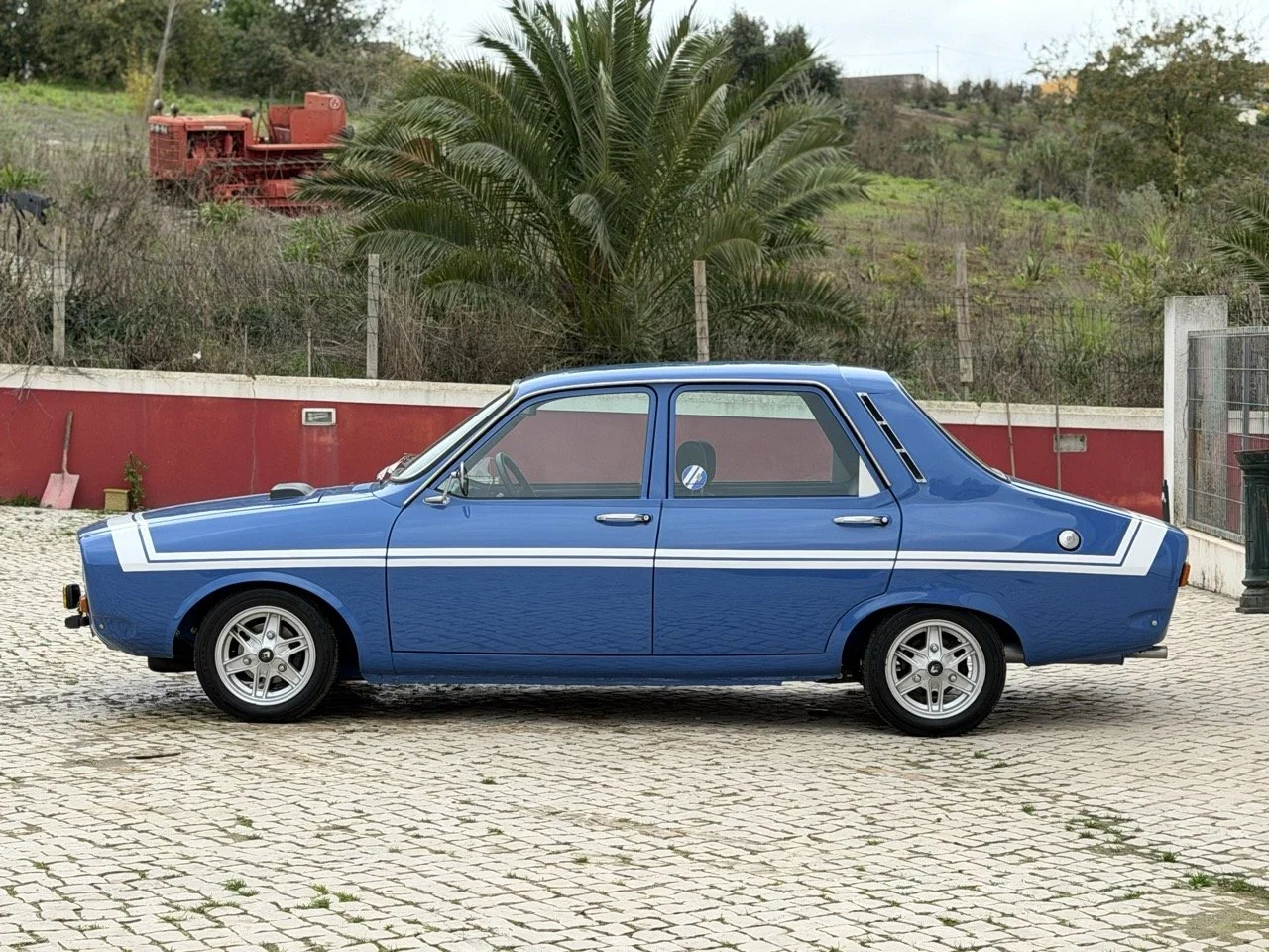 IMG_5915 – grande.jpeg