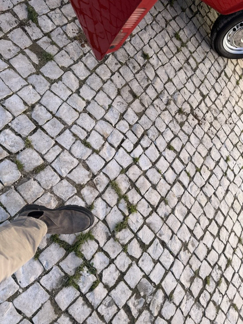 IMG_7142 – grande.jpeg