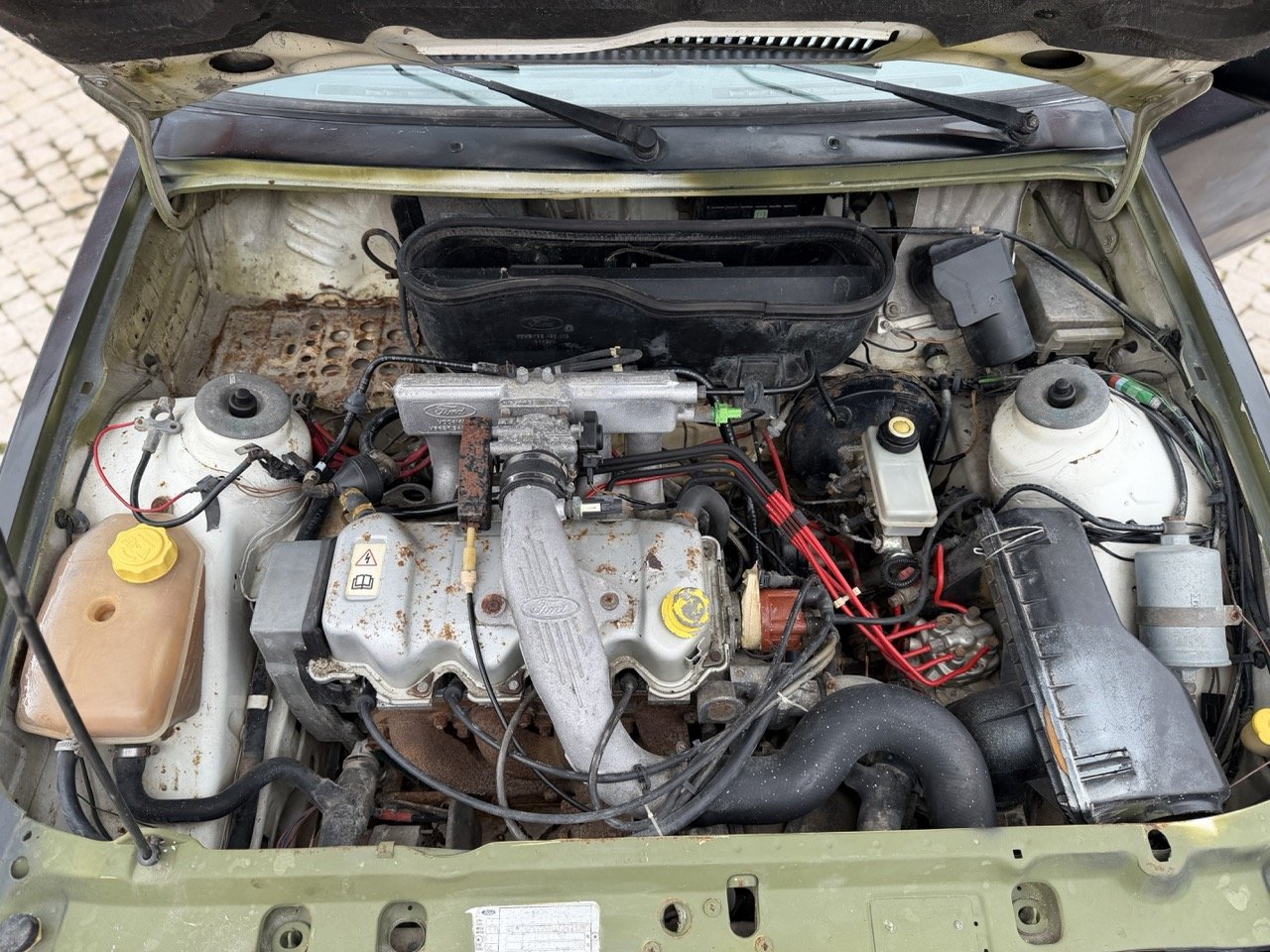 IMG_1343 – grande.jpeg