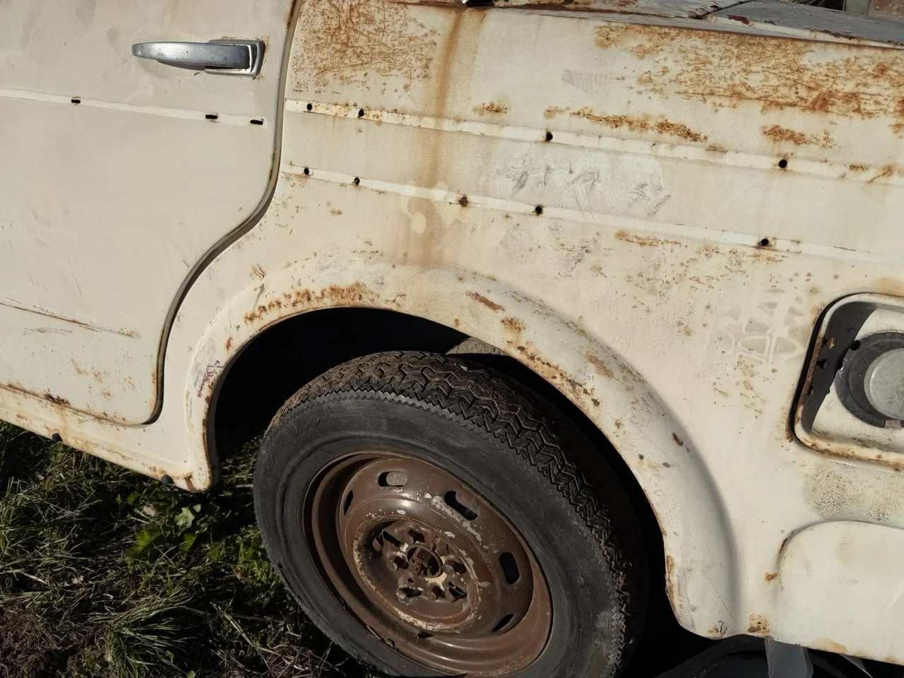 IMG_2514 – grande.jpeg