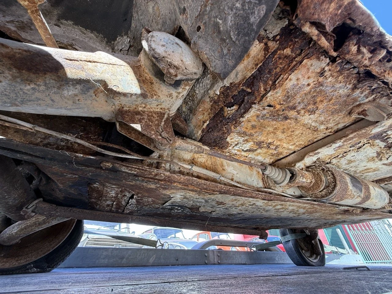 IMG_9125 – grande.jpeg