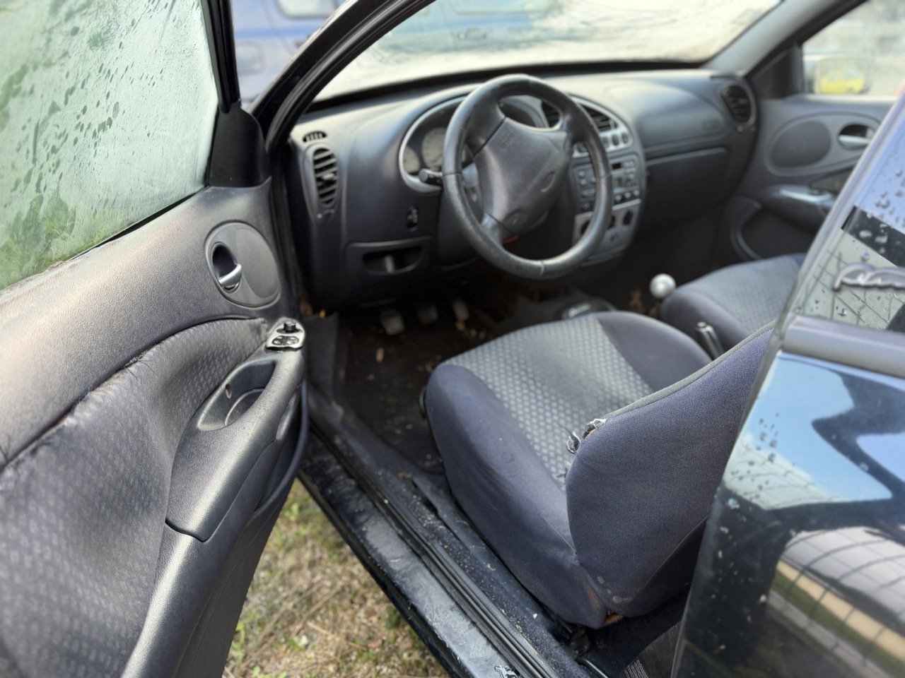 IMG_5294 – grande.jpeg