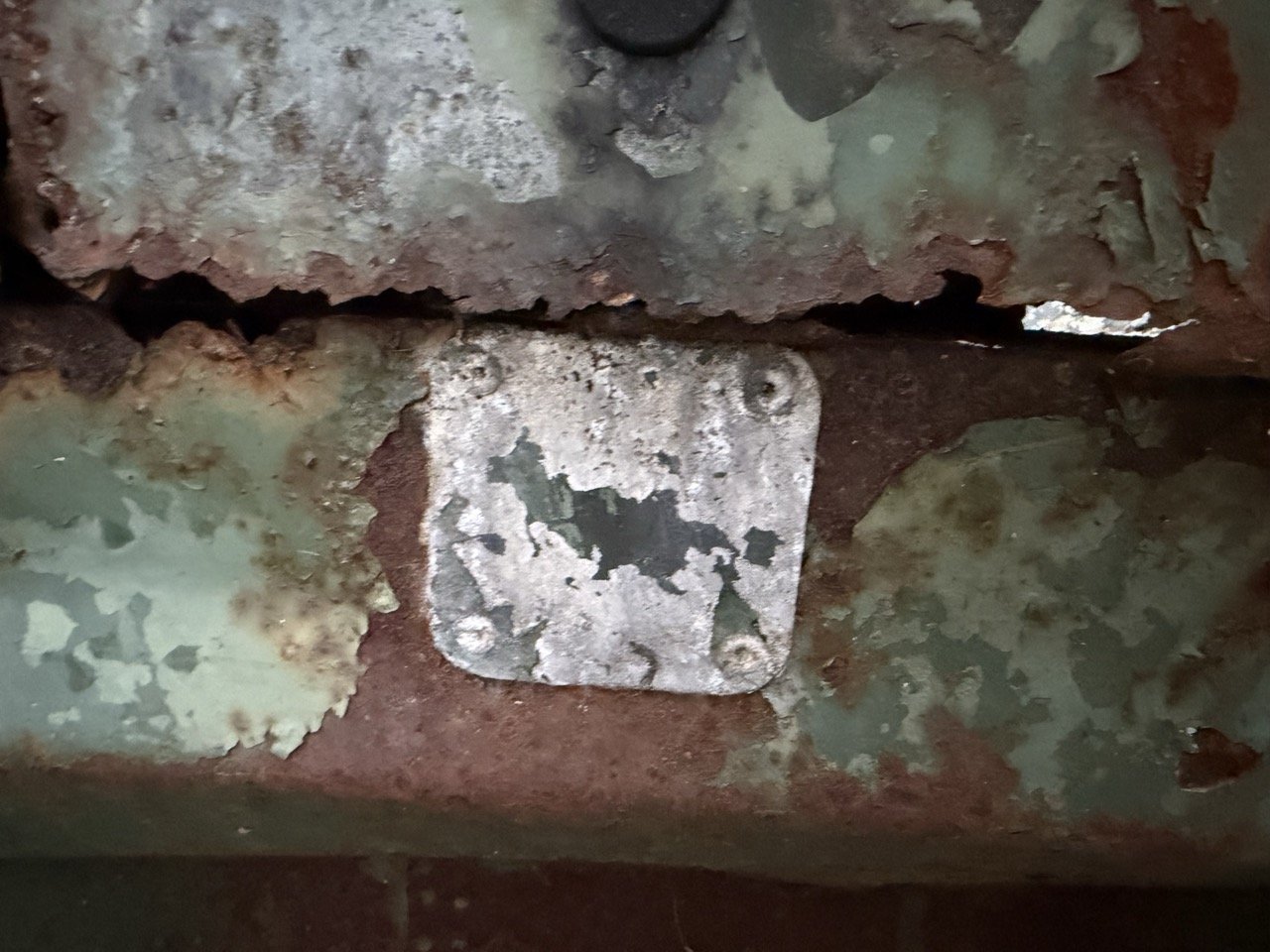 IMG_7458 – grande.jpeg