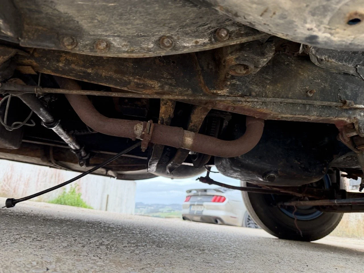 IMG_1591 – grande.jpeg