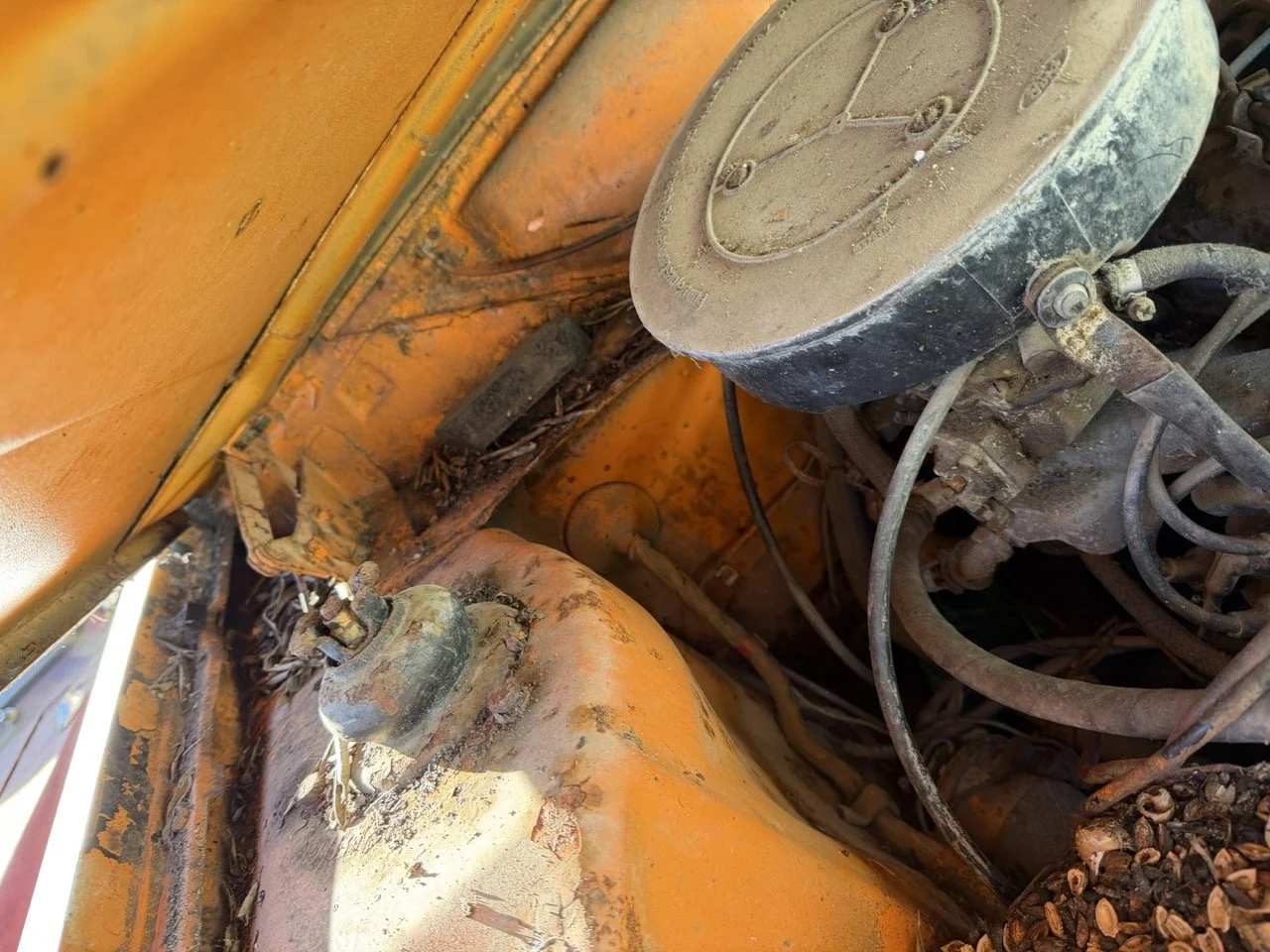 IMG_7721 – grande.jpeg