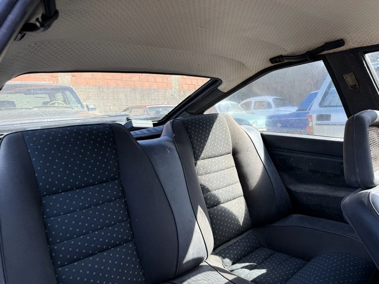 IMG_2907 – grande.jpeg