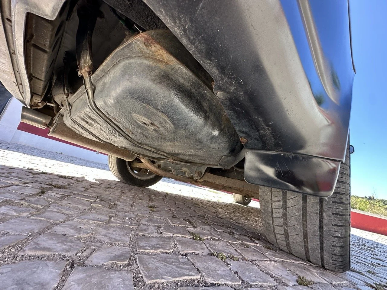 IMG_3133 – grande.jpeg