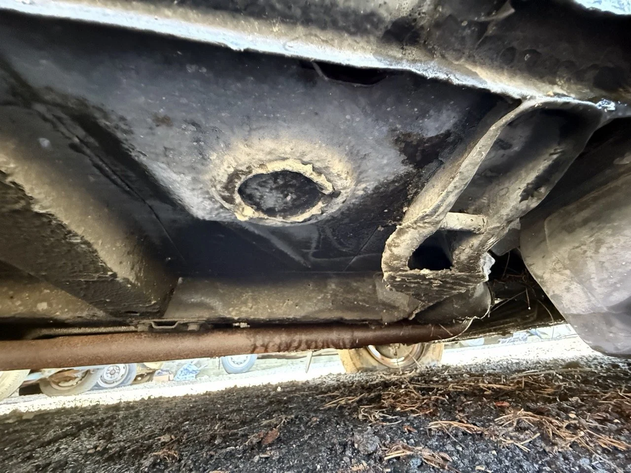 IMG_1235 – grande.jpeg