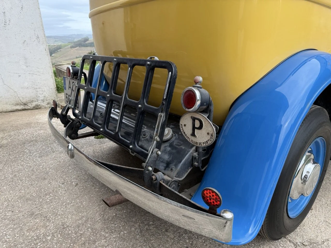 IMG_1599 – grande.jpeg