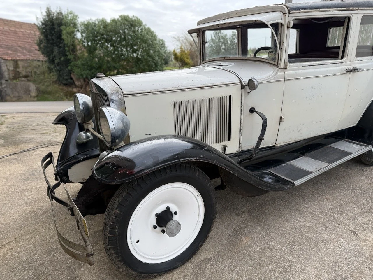 IMG_1618 – grande.jpeg