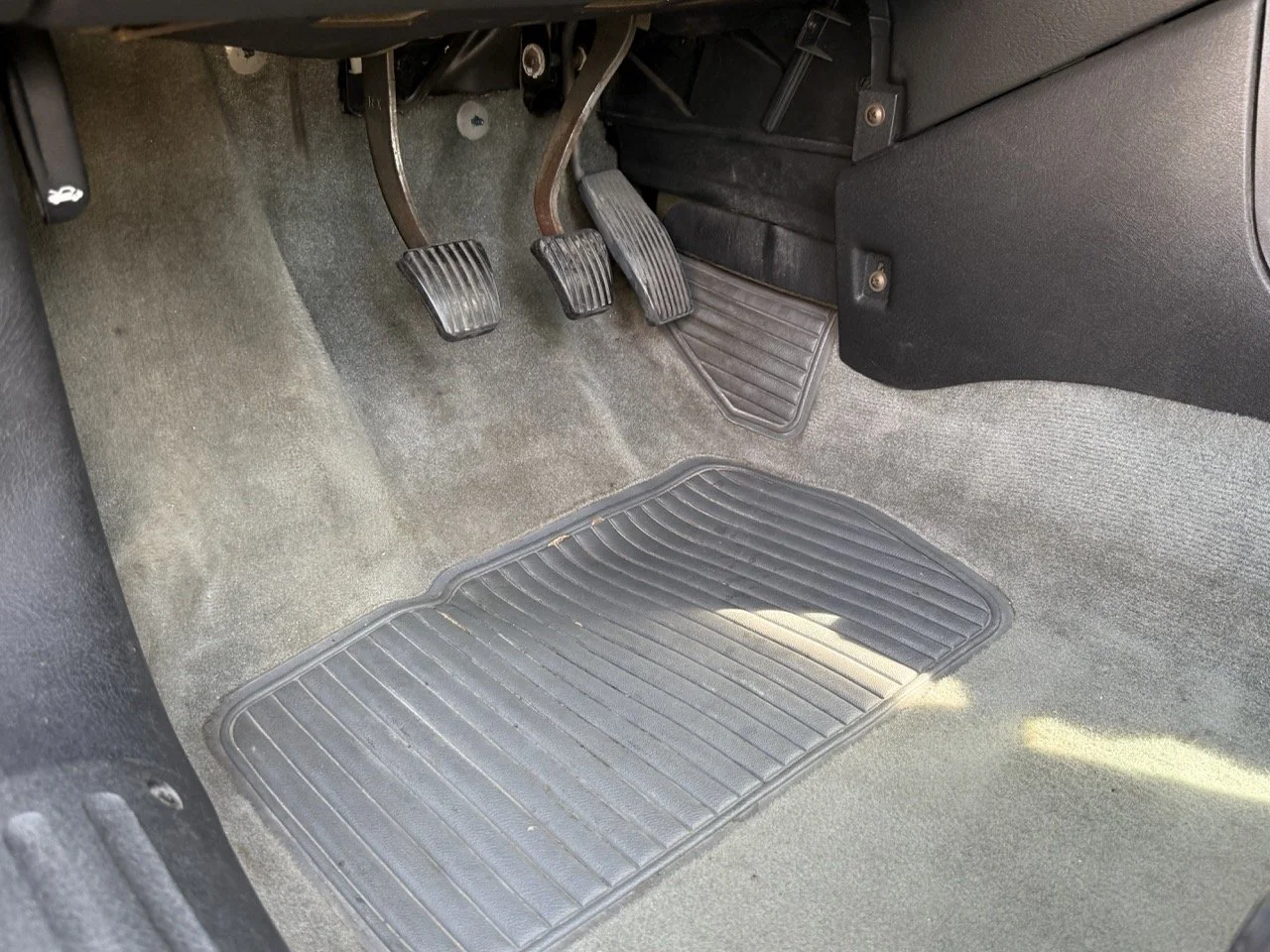 IMG_2446 – grande.jpeg