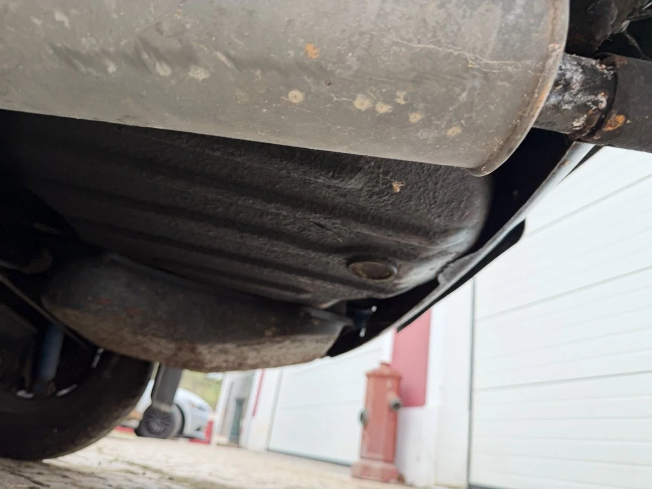 IMG_6342 – grande.jpeg