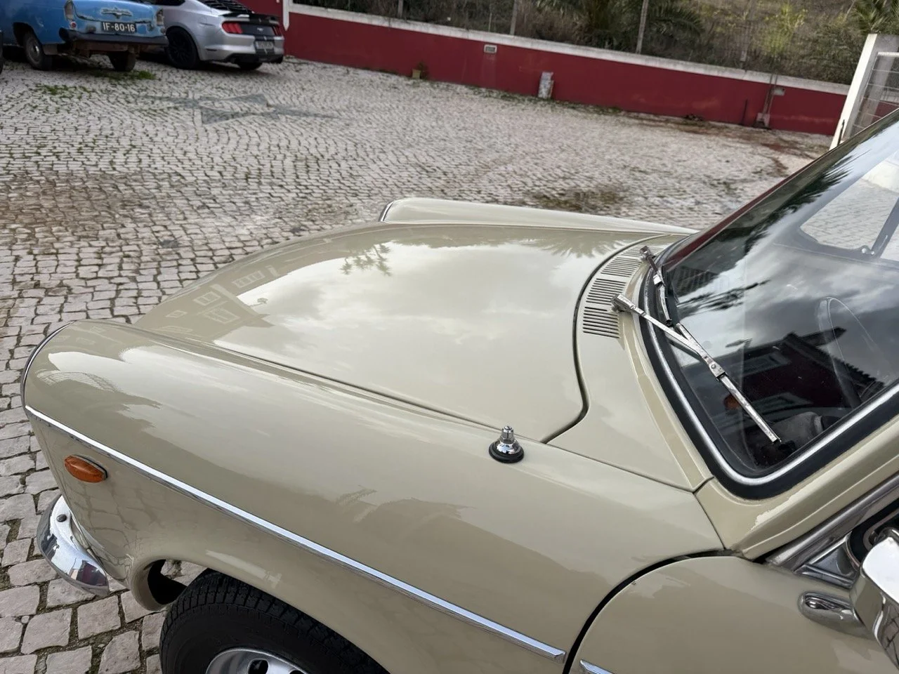 IMG_4101 – grande.jpeg