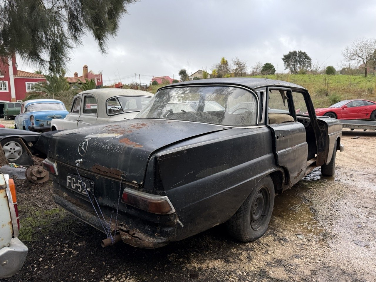 IMG_1927 – grande.jpeg