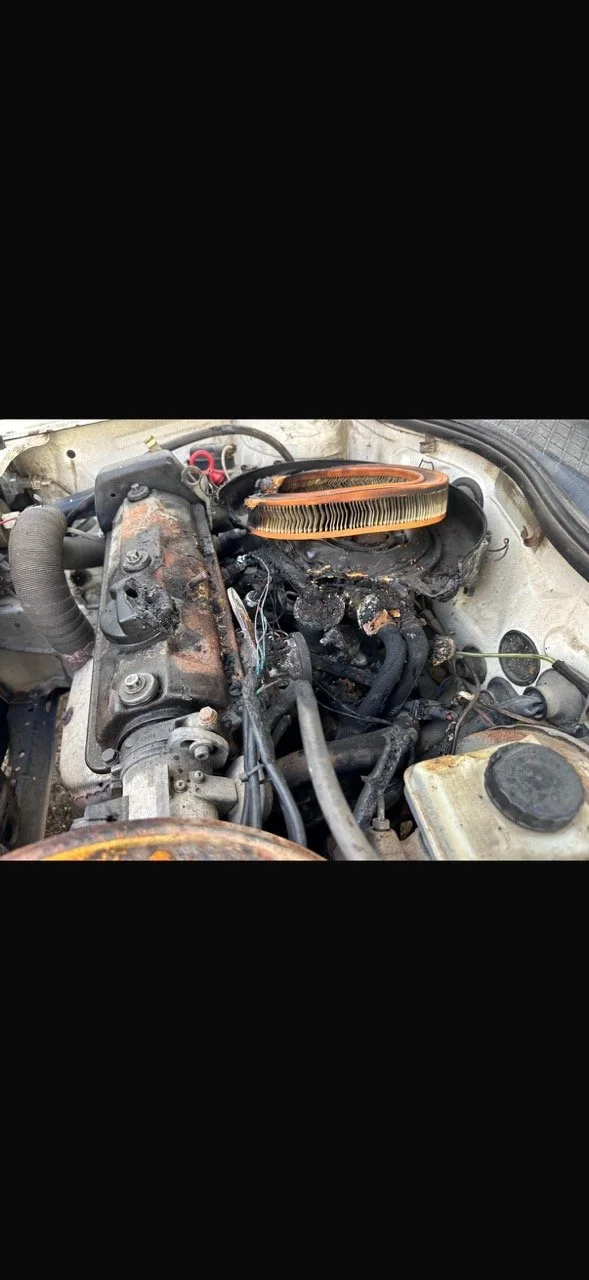 IMG_5269 – grande.jpeg