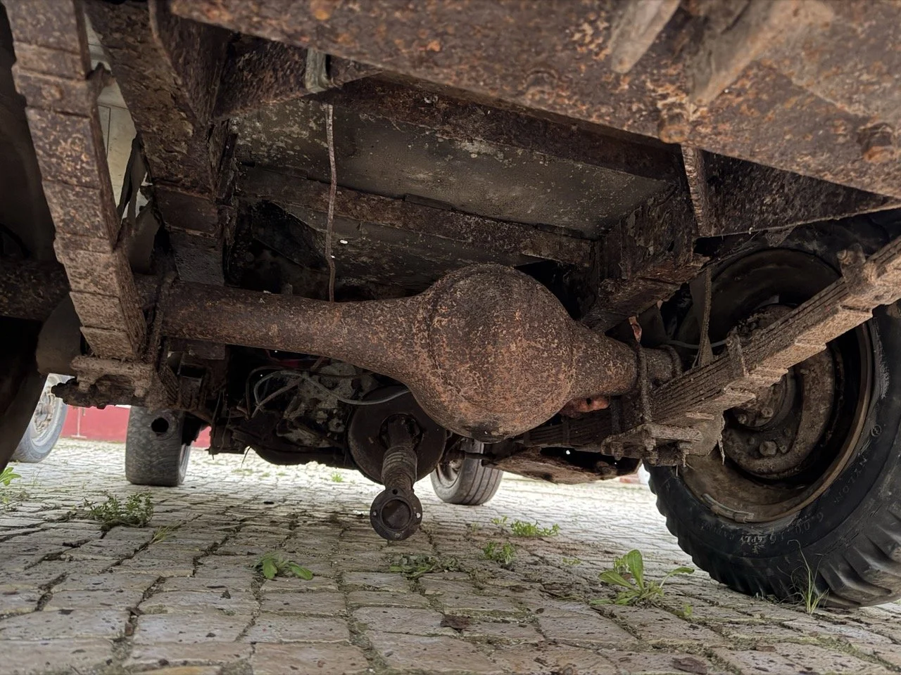 IMG_7473 – grande.jpeg