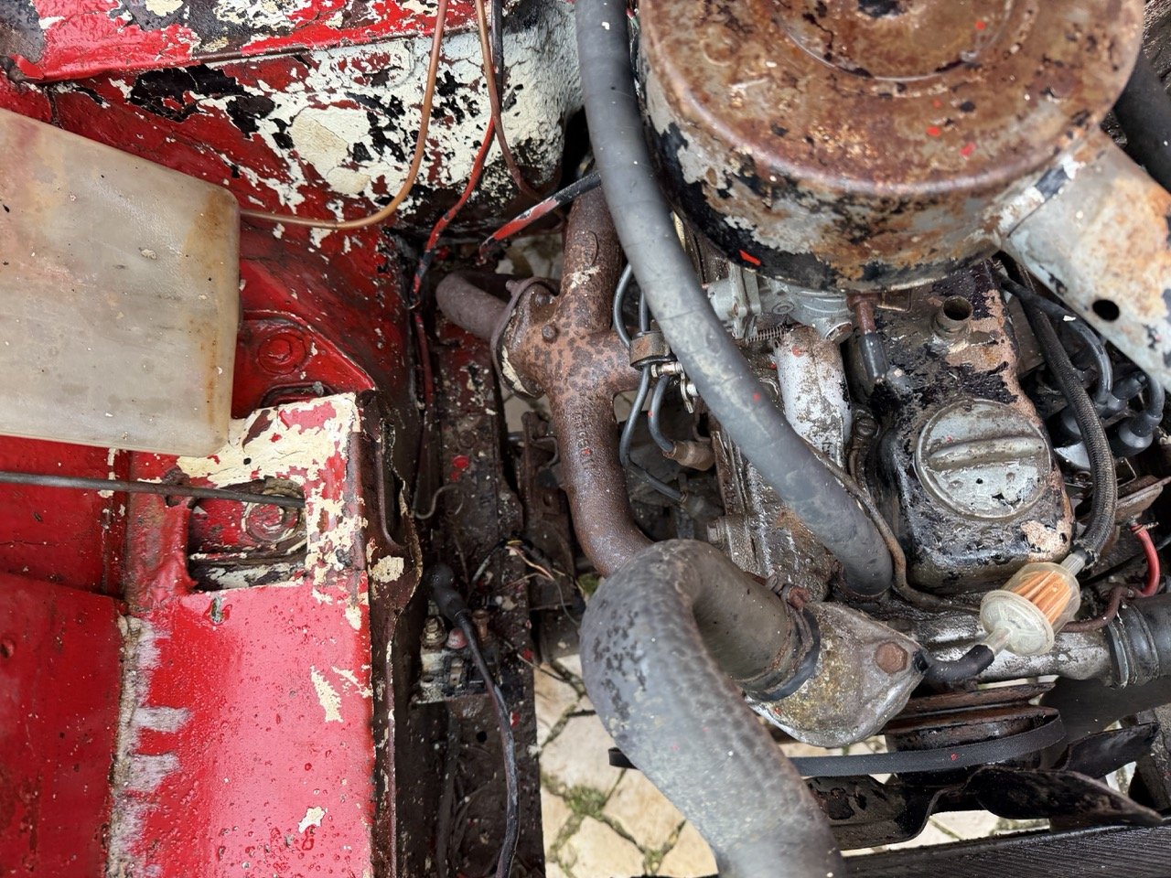 IMG_9682 – grande.jpeg