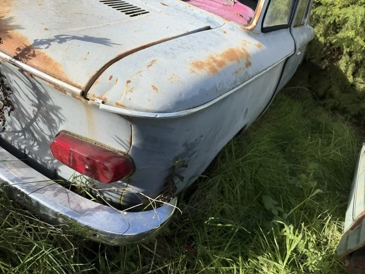 IMG_8552 – grande.jpeg