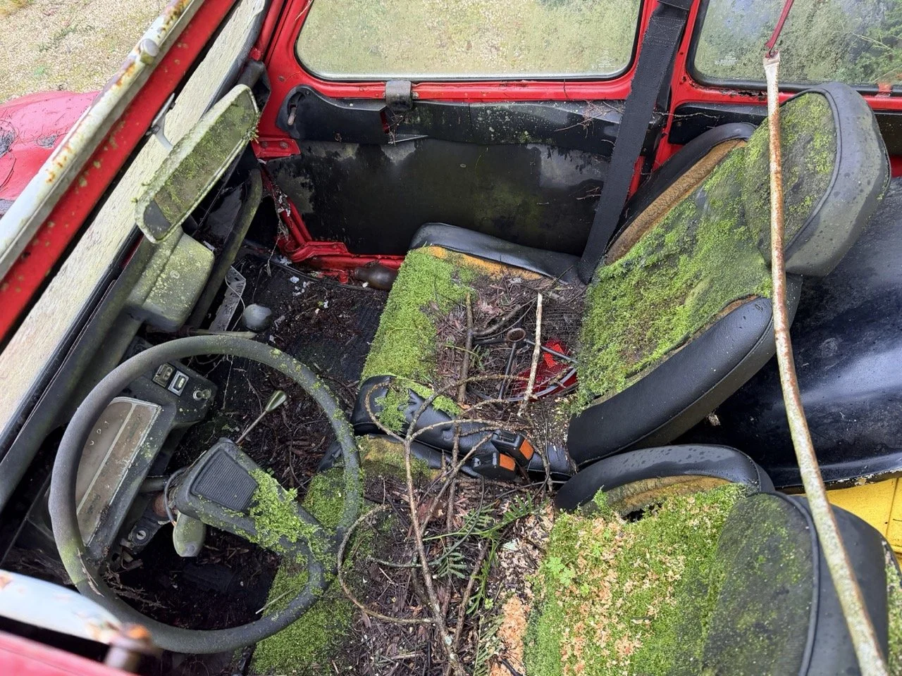 IMG_5474 – grande.jpeg