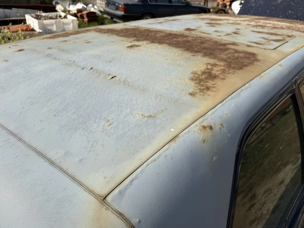 IMG_3407 – grande.jpeg