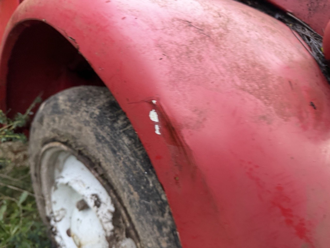 IMG_5514 – grande.jpeg