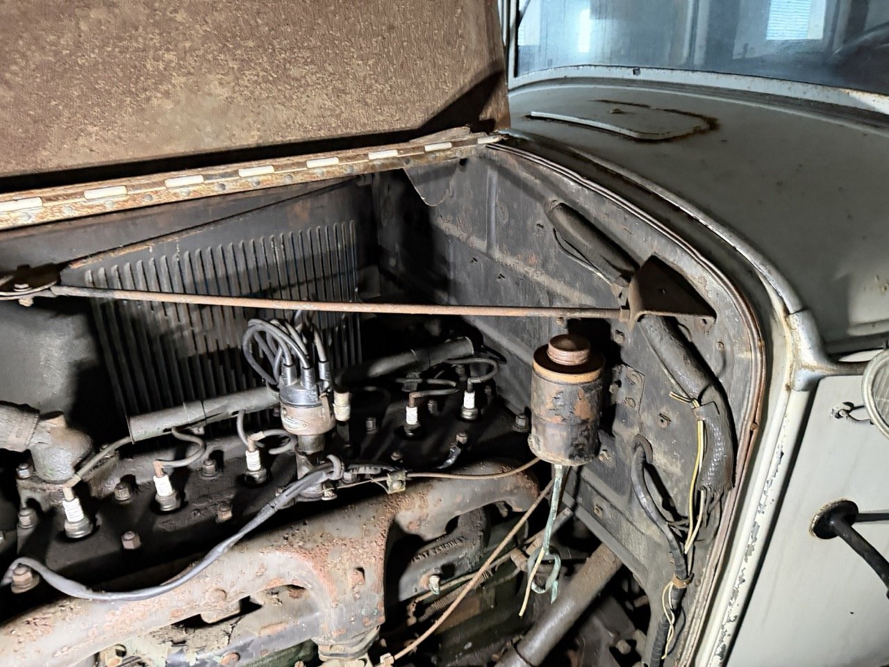 IMG_2449 – grande.jpeg