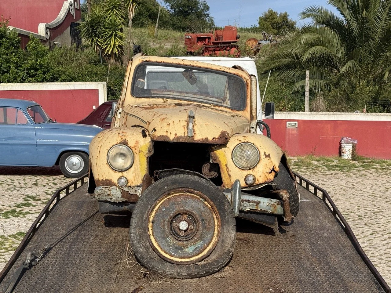 IMG_3163 – grande.jpeg