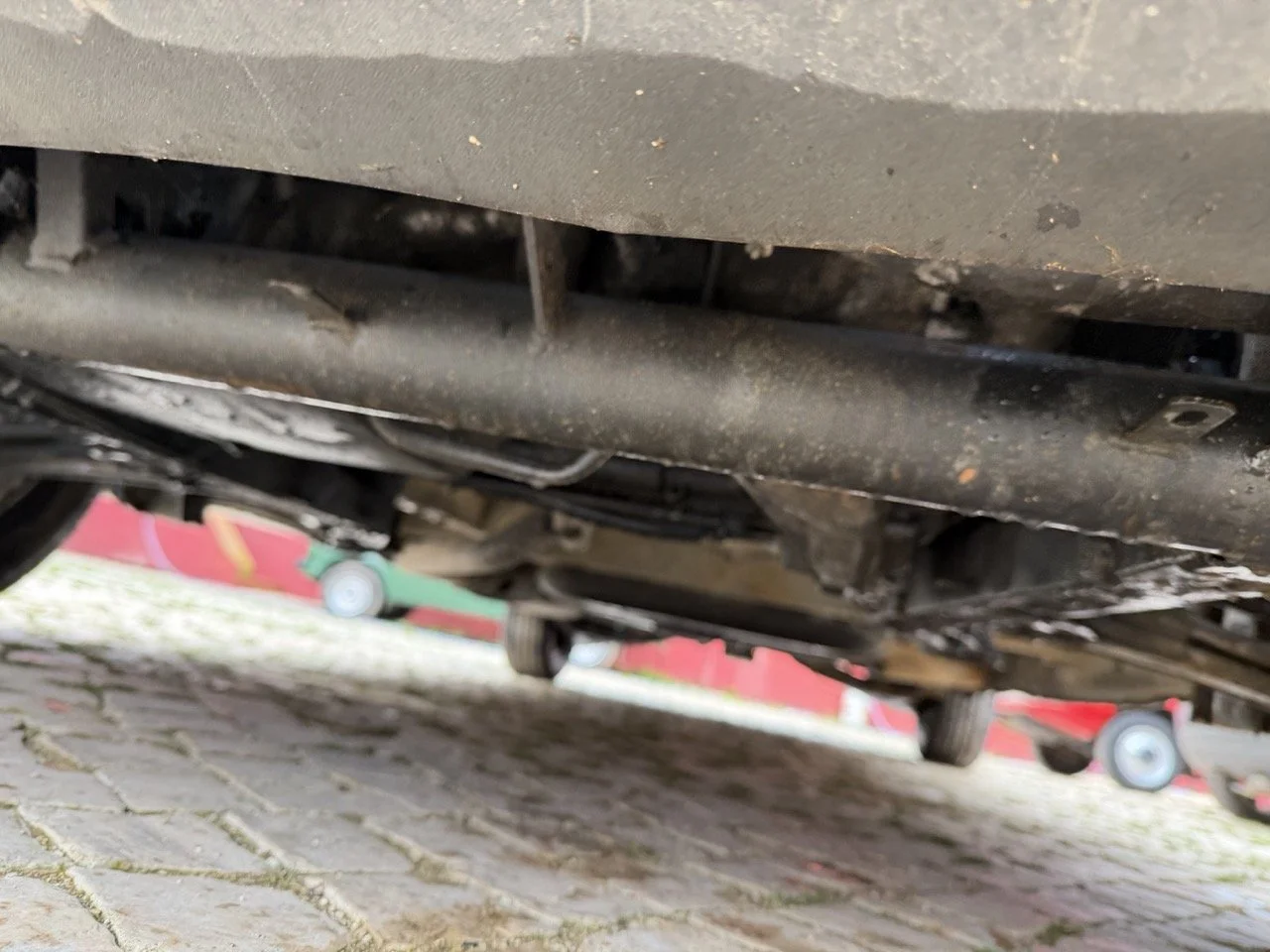 IMG_9583 – grande.jpeg