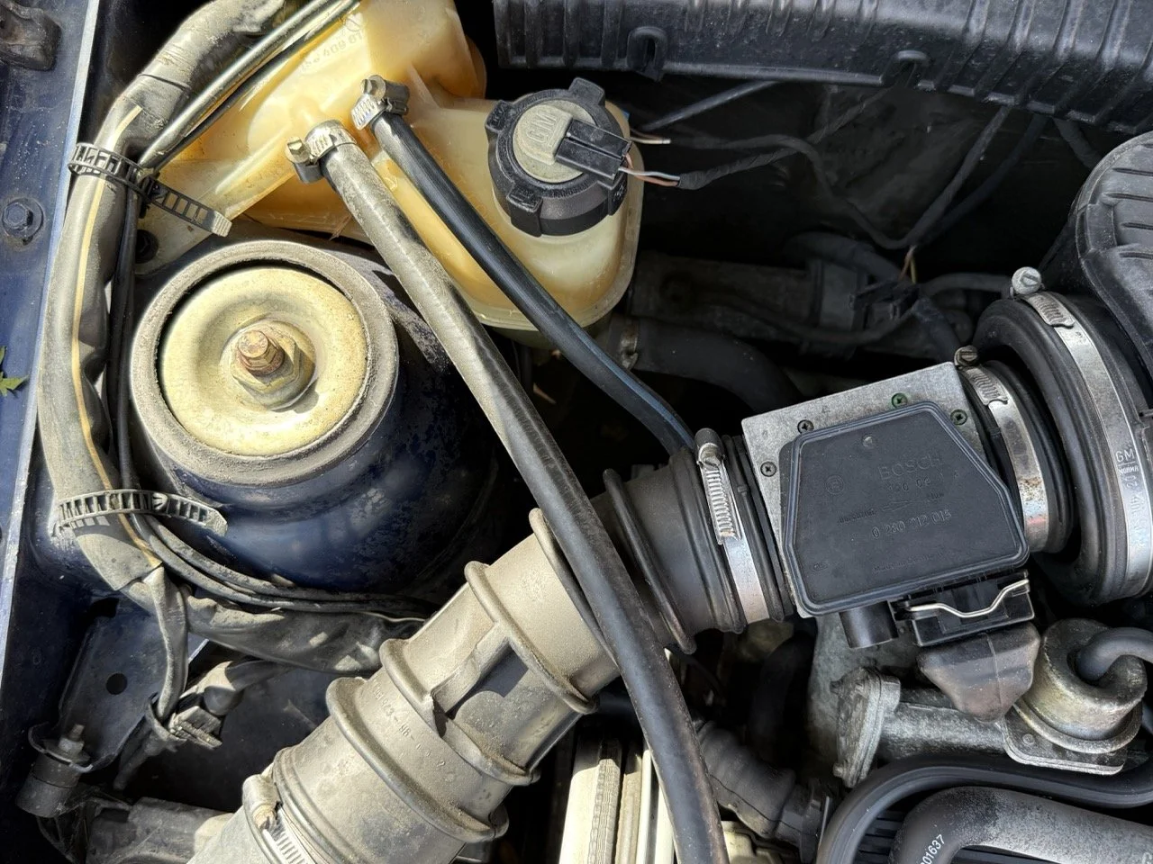 IMG_2426 – grande.jpeg