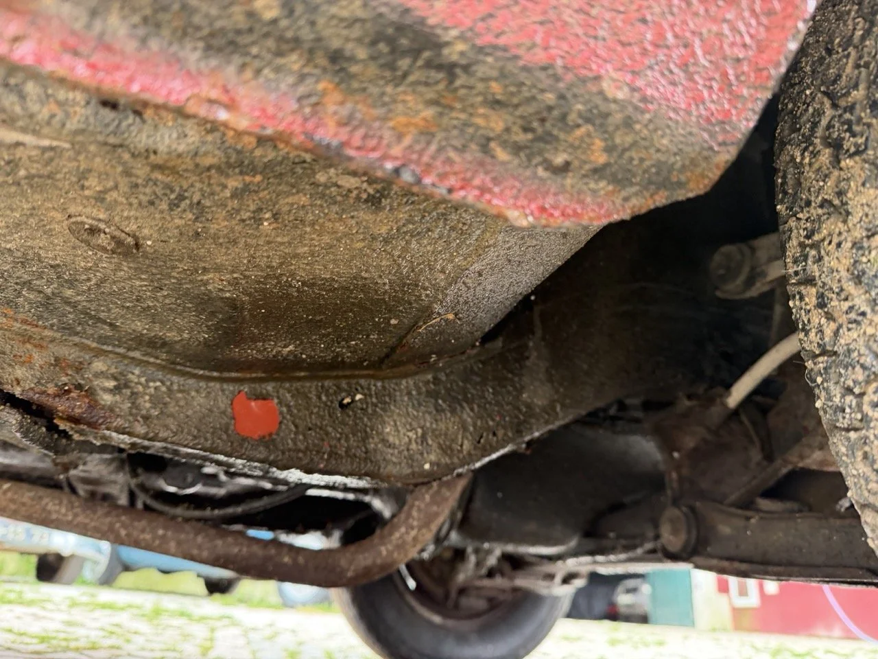 IMG_9664 – grande.jpeg