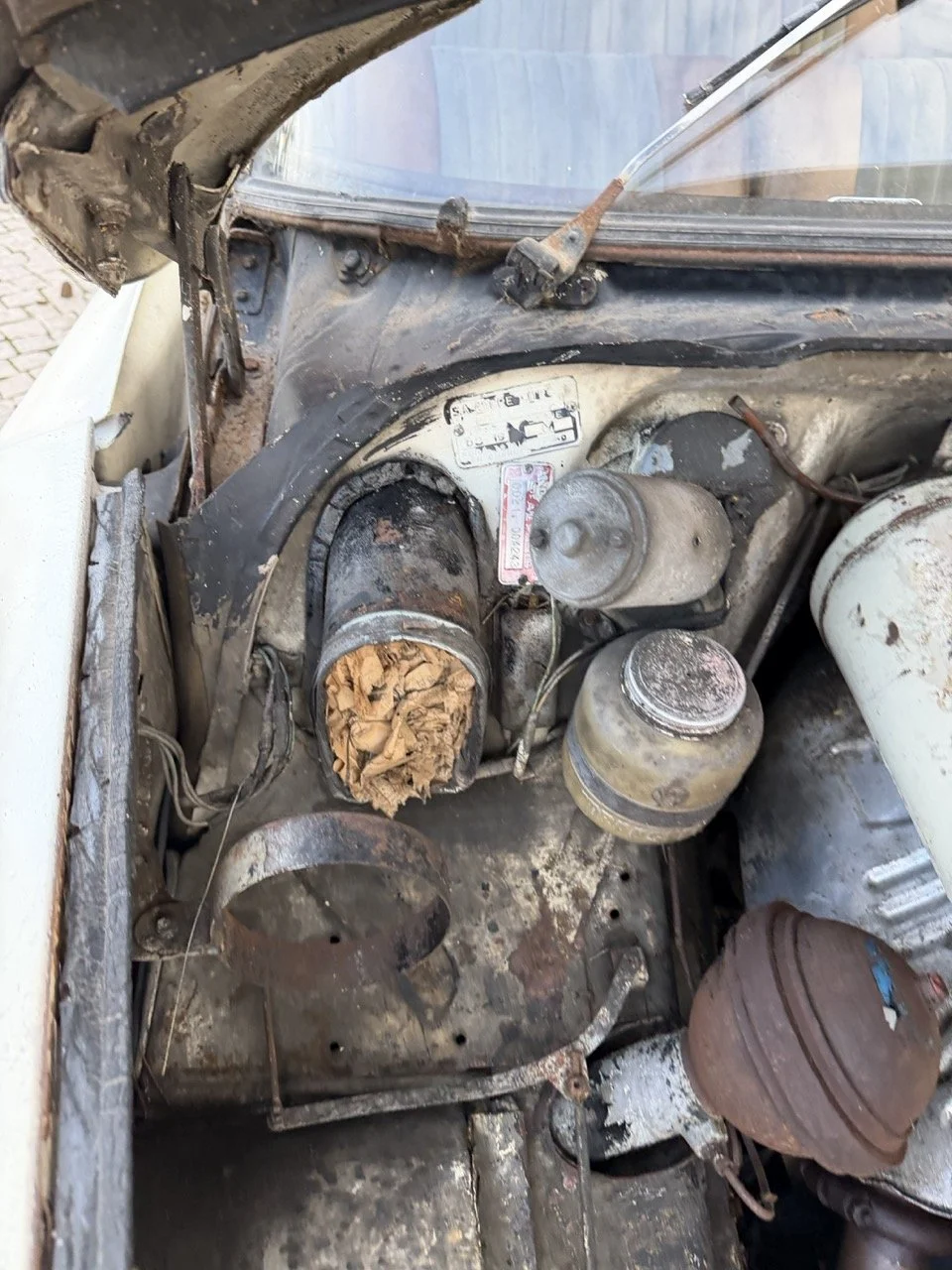 IMG_5972 2 – grande.jpeg