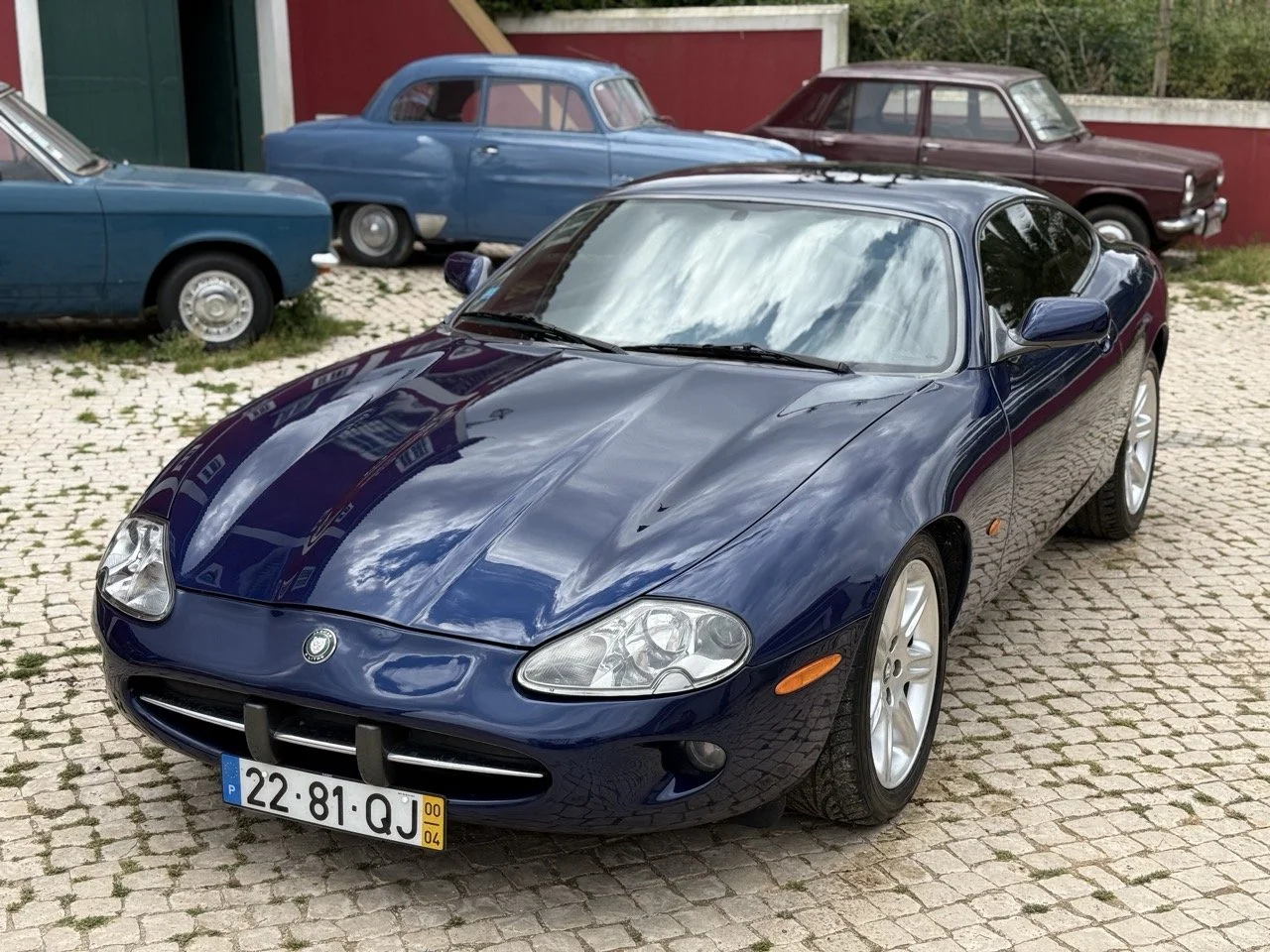 IMG_4017 – grande.jpeg