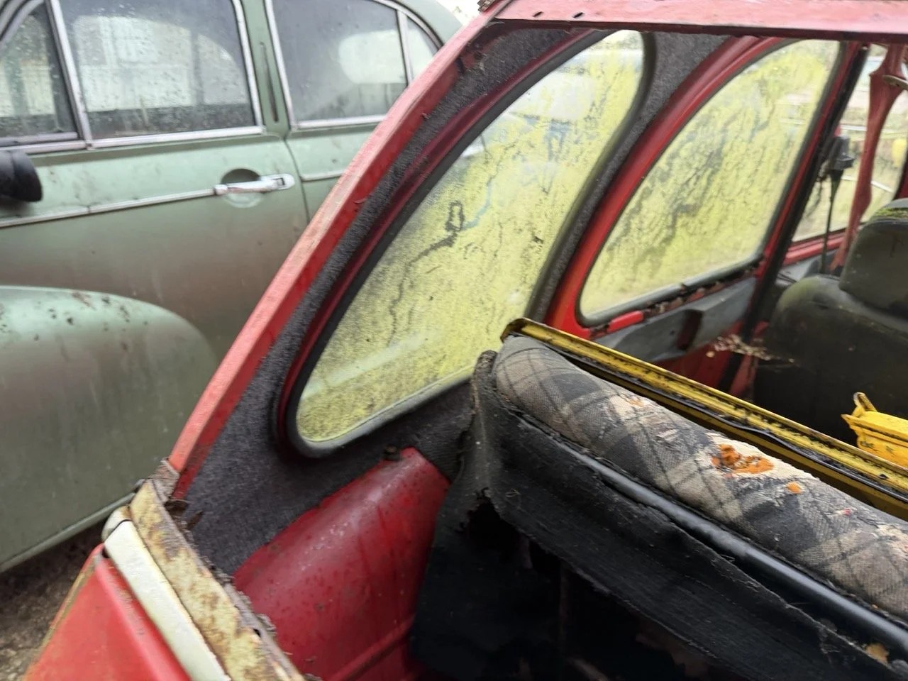 IMG_5481 – grande.jpeg