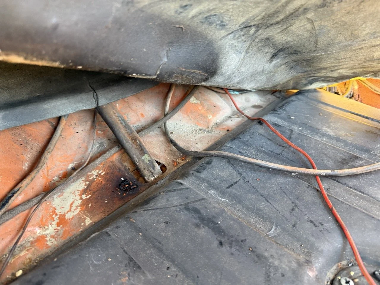 IMG_7561 – grande.jpeg