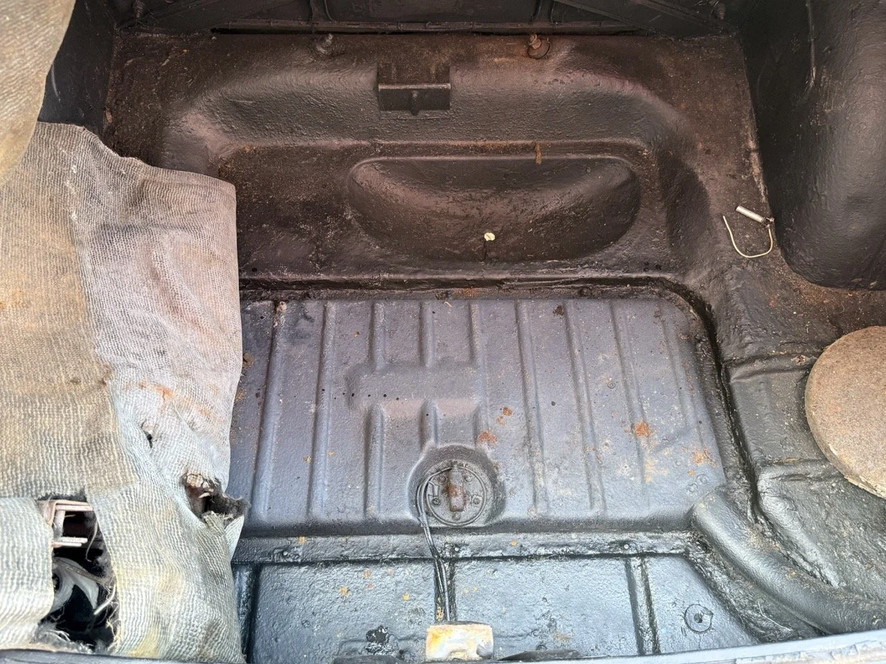 IMG_3531 – grande.jpeg