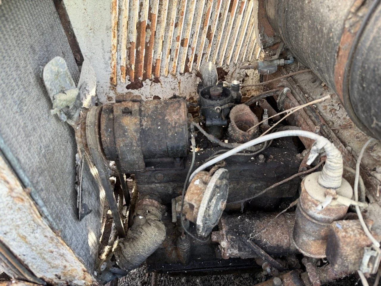 IMG_0362 – grande.jpeg