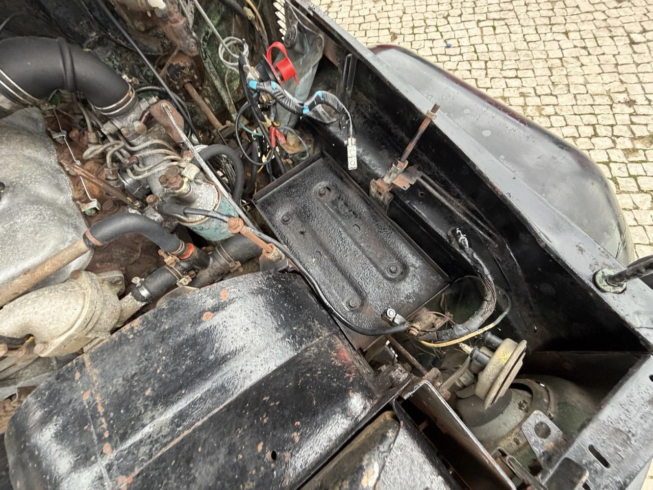 IMG_6478 – grande.jpeg