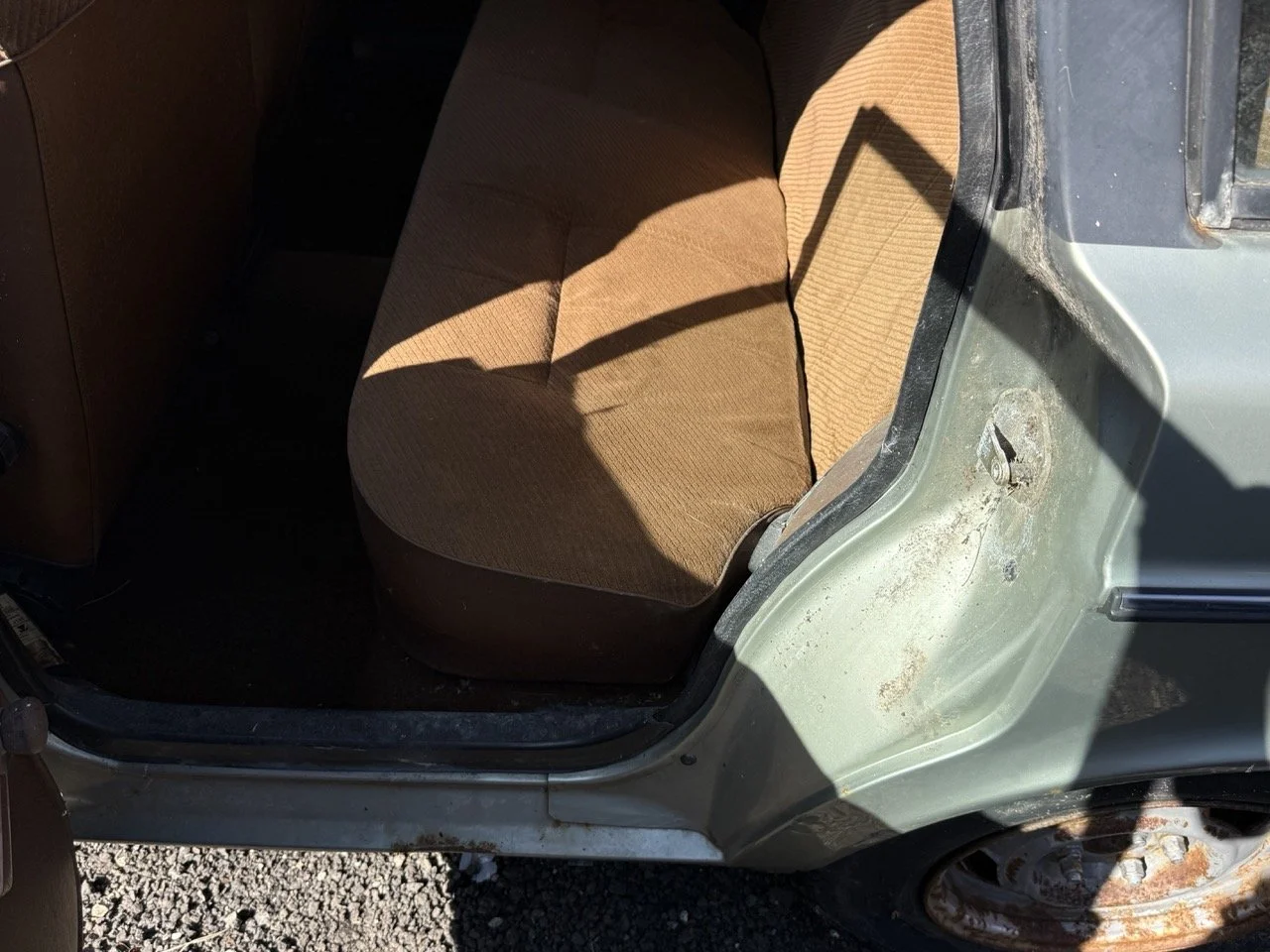 IMG_1185 – grande.jpeg