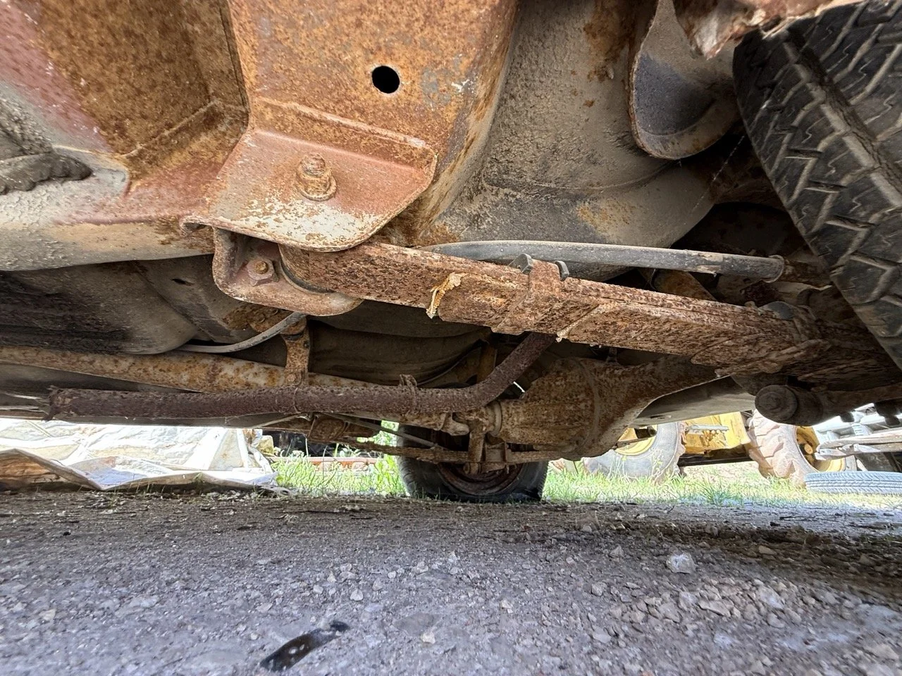 IMG_3238 – grande.jpeg