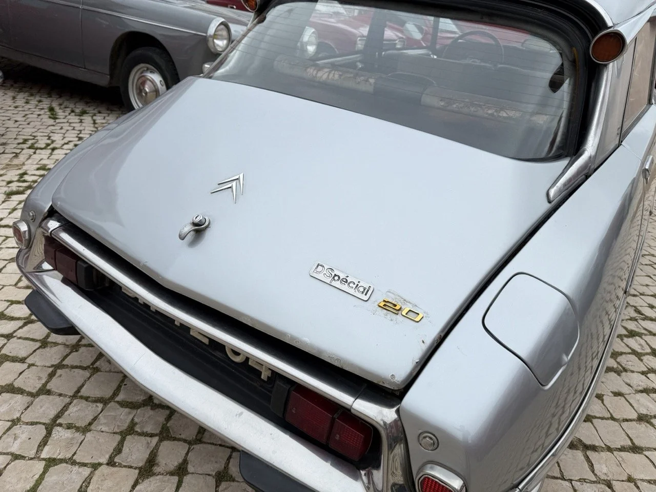 IMG_3764 – grande.jpeg